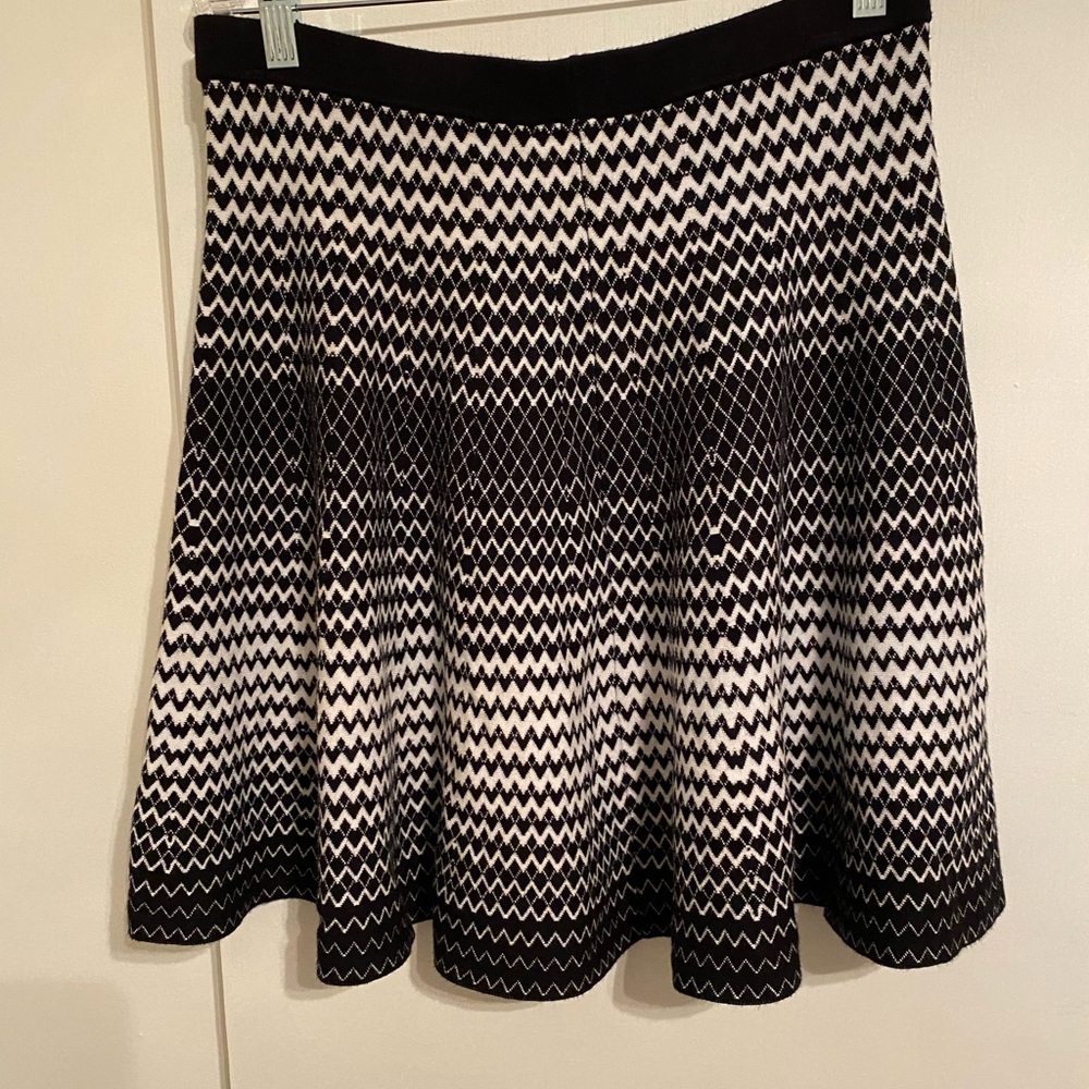 Chelsea & Theodore Stylish, Preppy Black and White A-Line Skirt, women, size (L)